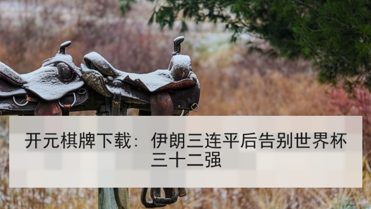 开元棋牌下载: 伊朗三连平后告别世界杯三十二强