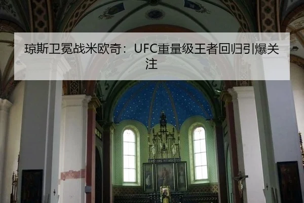 qiong-si-wei-mian-zhan-mi-ou-qi-zhong-liang-ji-wang-zhe-hui-gui-yin-bao-guan-zhu-2-946.jpg
