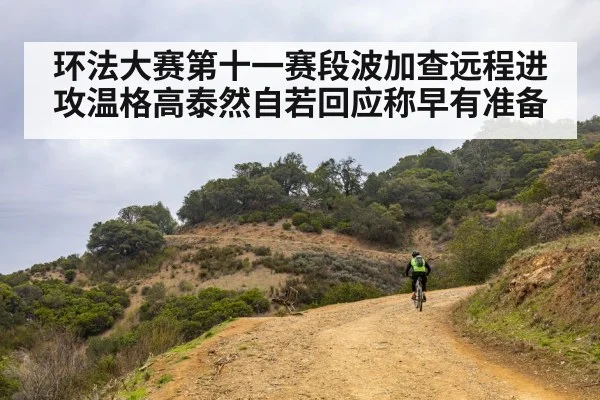 环法大赛第十一赛段波加查远程进攻温格高泰然自若回应称早有准备